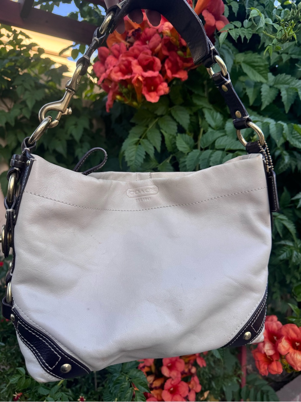 Coach Carly Leather Hobo Bag